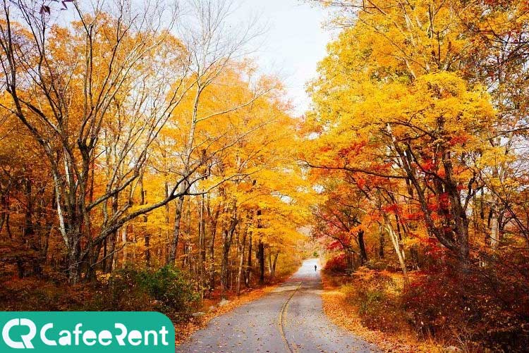 بهترین فصل برای سفر به جاده اسالم به خلخال