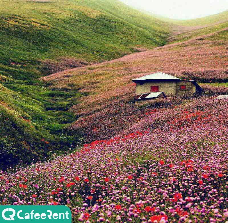 روستای ناو