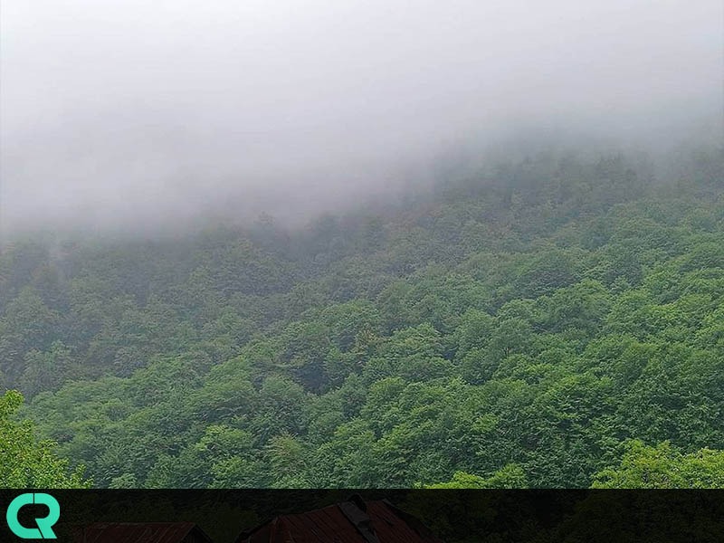 پارک جنگلی گیسوم
