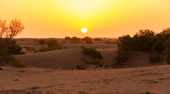 اقامتگاه در کویر مصر