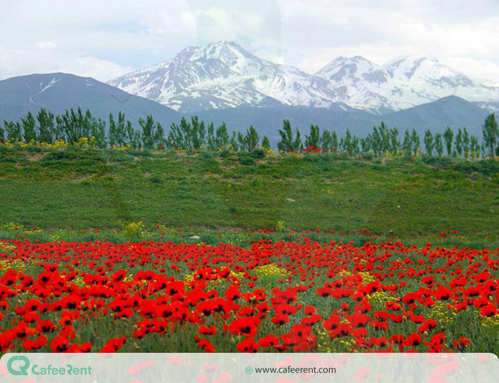 منظره دشت و کوه