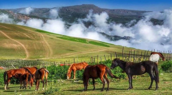 خرداد کجا بریم؟ معرفی 10 مقصد جذاب برای سفر در خرداد ماه