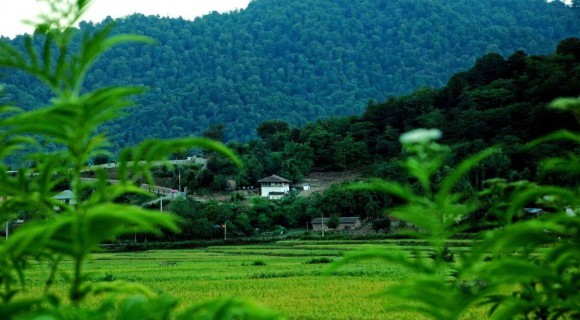 راهنمای سفر به فومن