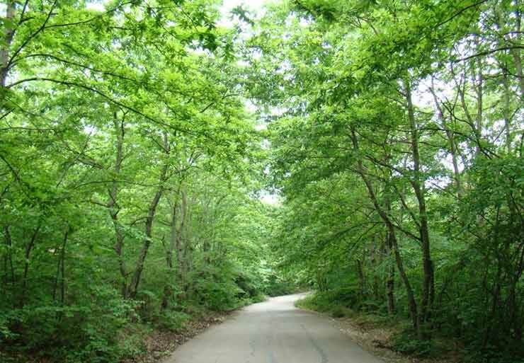جاده های فومن