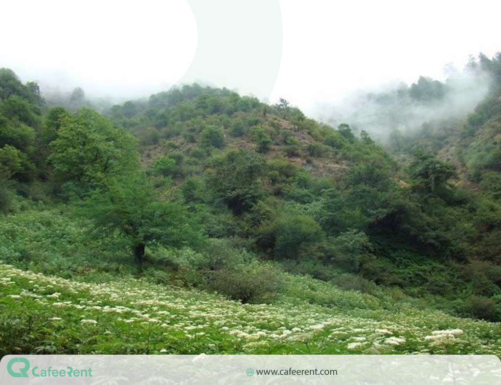 راهنمای سفر به رامسر