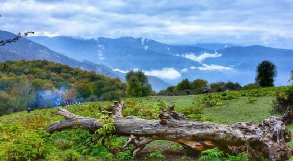 تهران گردی در بهار