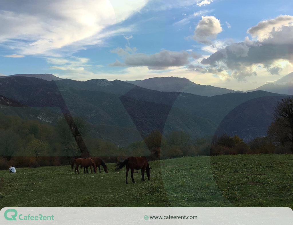 جنگل الیمستان