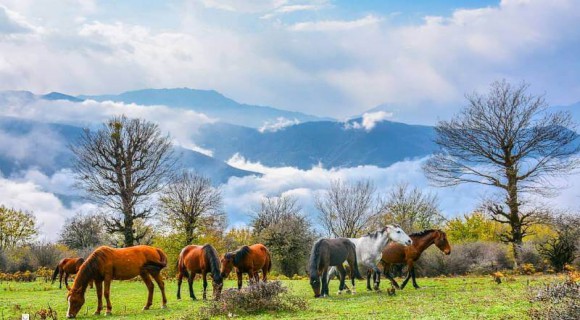 بهترین مقصدها برای سفر یک  روزه در نوروز