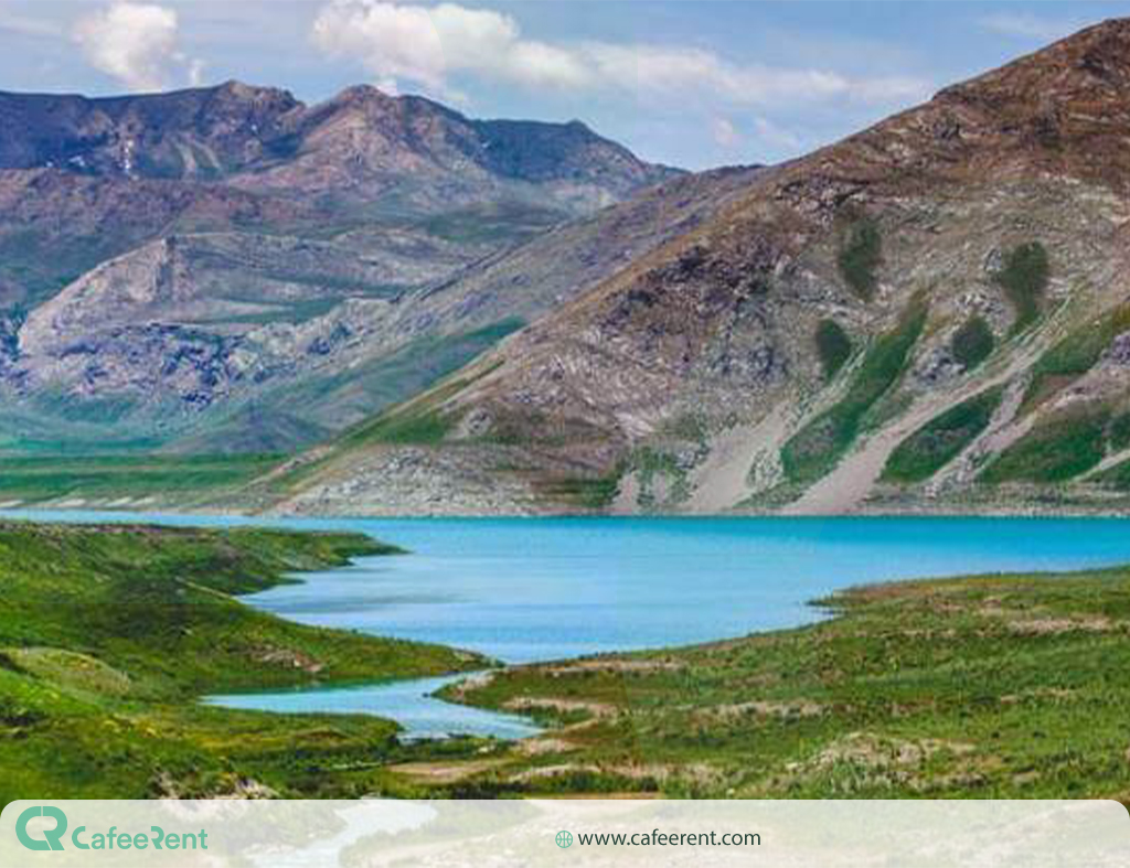 جنگل الیمستان