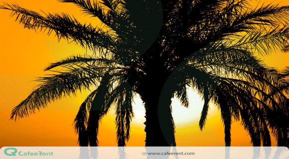 جزیره مینو کجاست؟